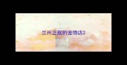 兰州正规的宠物店
