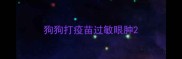 狗狗打疫苗过敏眼肿