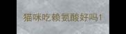 猫咪吃赖氨酸好吗