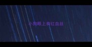 小狗眼上有红血丝