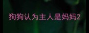 狗狗认为主人是妈妈