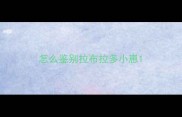 怎么鉴别拉布拉多小崽