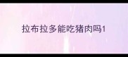 拉布拉多能吃猪肉吗