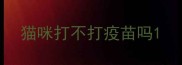 猫咪打不打疫苗吗