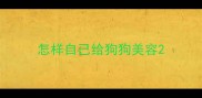 怎样自己给狗狗美容