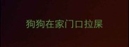 狗狗在家门口拉屎