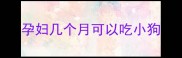 孕妇几个月可以吃小狗