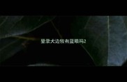 登录犬边牧有蓝眼吗
