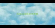 拉布拉多髋关节恢复
