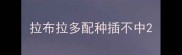拉布拉多配种插不中