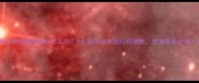 哈士奇吃狗粮呕吐怎么办5大原因及专业应对措施养宠家长必看