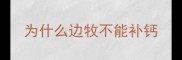 为什么边牧不能补钙