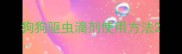 狗狗驱虫滴剂使用方法