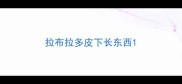 拉布拉多皮下长东西