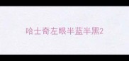 哈士奇左眼半蓝半黑