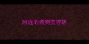 附近的狗狗美容店