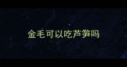 金毛可以吃芦笋吗