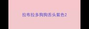 拉布拉多狗狗舌头紫色