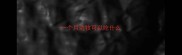 一个月边牧可以吃什么
