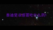泰迪受凉感冒吃什么药