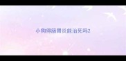 小狗得肠胃炎能治死吗