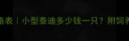 泰迪犬价格表小型泰迪多少钱一只附饲养成本全