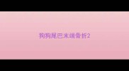 狗狗尾巴末端骨折