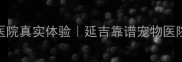 延吉派特宠物医院真实体验延吉靠谱宠物医院推荐必看攻略