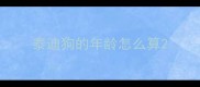 泰迪狗的年龄怎么算