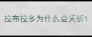 拉布拉多为什么会夭折