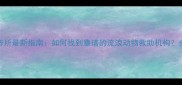 惠州宠物收养所最新指南如何找到靠谱的流浪动物救助机构全攻略来了