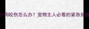 被六个月大小狗咬伤怎么办宠物主人必看的紧急处理与预防指南