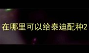 在哪里可以给泰迪配种