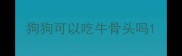 狗狗可以吃牛骨头吗