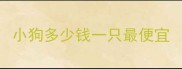 小狗多少钱一只最便宜