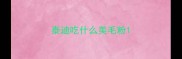 泰迪吃什么美毛粉