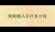 狗狗植入芯片多少钱