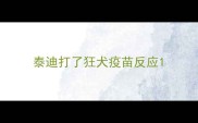 泰迪打了狂犬疫苗反应