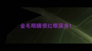 金毛眼睛很红眼屎多