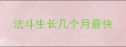 法斗生长几个月最快