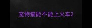 宠物猫能不能上火车