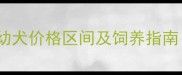 纯种哈士奇幼犬价格区间及饲养指南最新行情