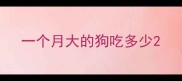 一个月大的狗吃多少