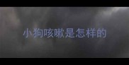 小狗咳嗽是怎样的