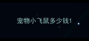 宠物小飞鼠多少钱