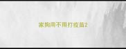 家狗用不用打疫苗