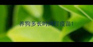 养狗多长时间打疫苗