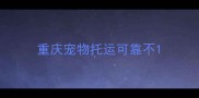 重庆宠物托运可靠不