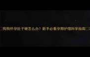 狗狗怀孕肚子硬怎么办新手必看孕期护理科学指南