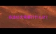 泰迪幼犬需要打什么针